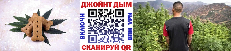 Cannafood конопля  Елабуга 