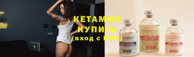 сатива Вяземский