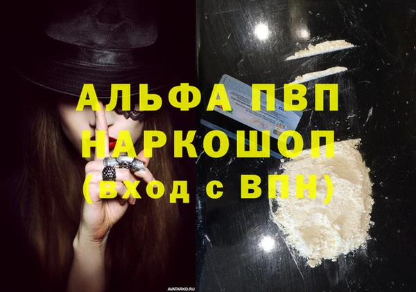 молекула духа Новый Уренгой