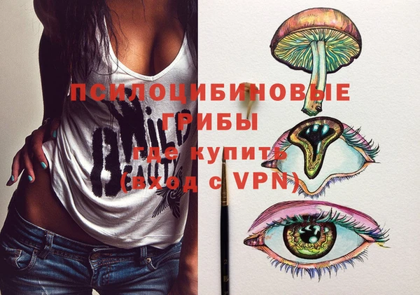 сатива Вяземский