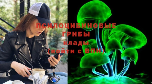 2c-b Осинники