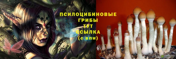 стаф Горнозаводск