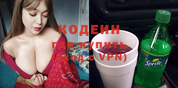 сатива Вяземский